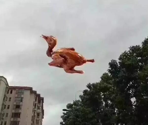 &ldquo;天鴿&rdquo;登陸了又怎樣，智彤印刷正常發(fā)放福利！