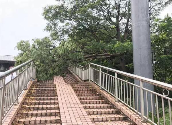 &ldquo;天鴿&rdquo;登陸了又怎樣，智彤印刷正常發(fā)放福利！