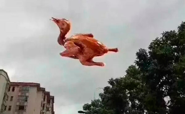 “天鴿”登陸了又怎樣，智彤印刷正常發(fā)放福利！